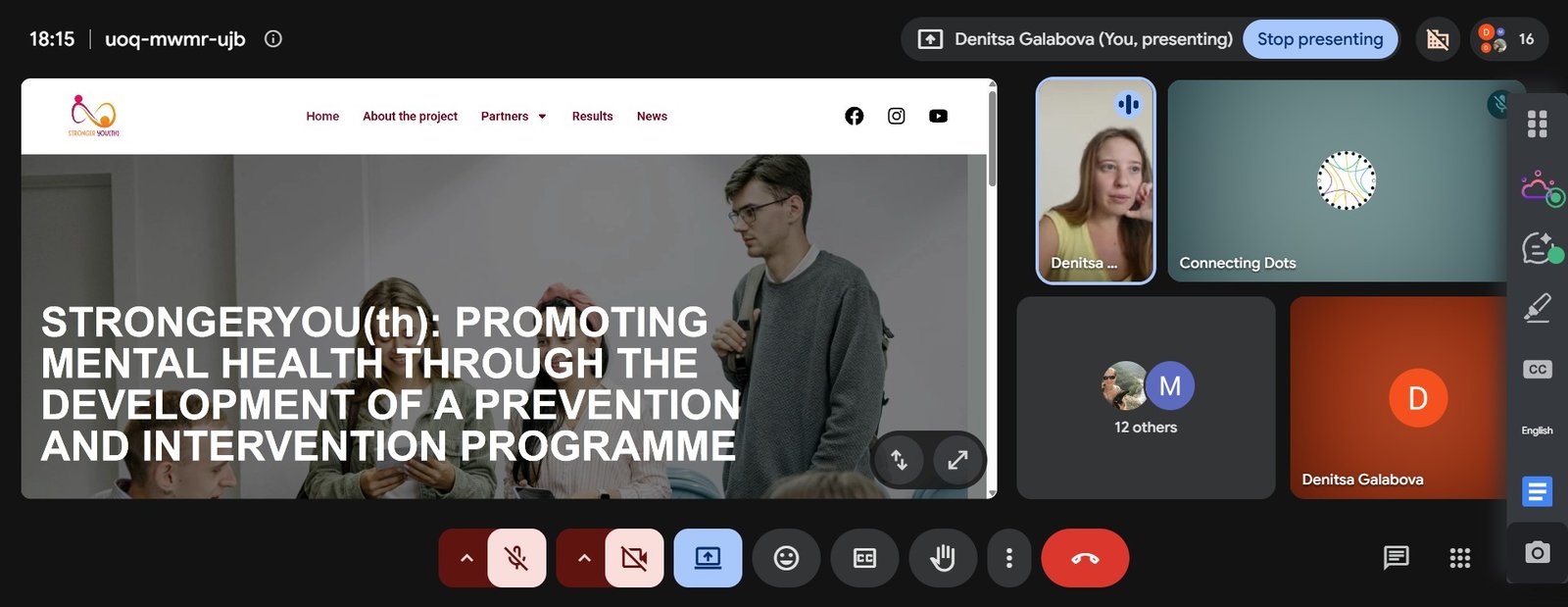 Online training of trainers for youth workers from partner countries, photo 1