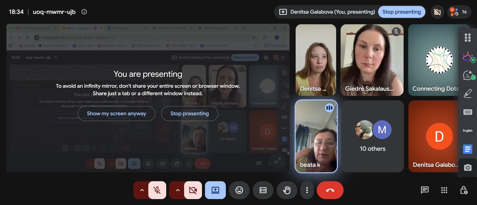 Online training of trainers for youth workers from partner countries, photo 2